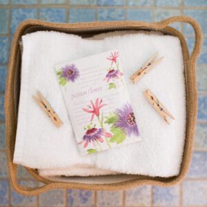Freshscents Scented Sachets-Passion Flower