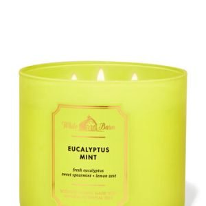 eucalyptus mint