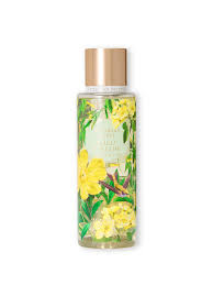Victoria's Secret Wild Willow Fragrance Mist